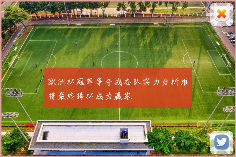 欧洲杯冠军争夺战各队实力分析谁将最终捧杯成为赢家