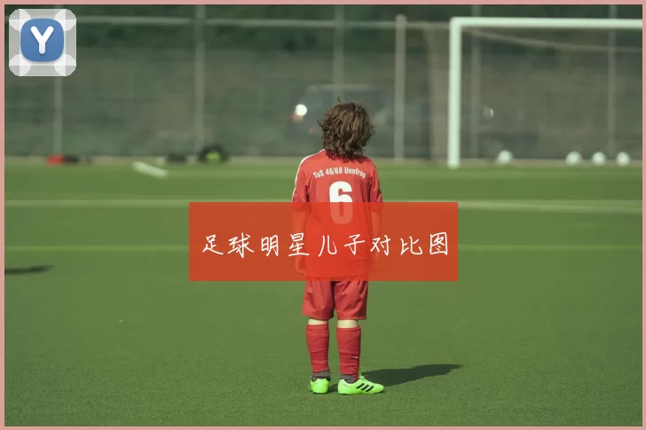 足球明星儿子对比图